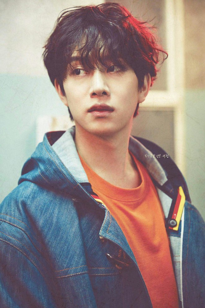 Câu chuyện bỗng gây bão MXH: Heechul (Suju) suy sụp khi chó cưng bị liệt cả thân dưới vì chủ mới vô trách nhiệm - Ảnh 3.