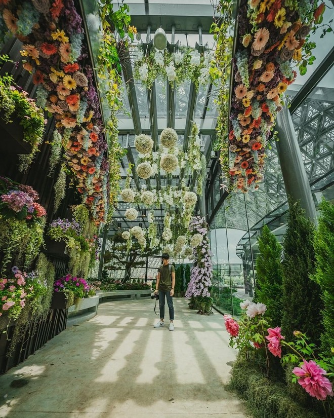 Sau Jewel Changi, Singapore lại có thêm “kỳ quan” vườn hoa treo khổng lồ khiến dân tình phải ngước lên “mỏi cả cổ” để ngắm nhìn - Ảnh 3.
