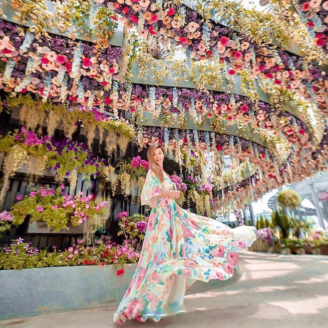 Sau Jewel Changi, Singapore lại có thêm “kỳ quan” vườn hoa treo khổng lồ khiến dân tình phải ngước lên “mỏi cả cổ” để ngắm nhìn - Ảnh 19.