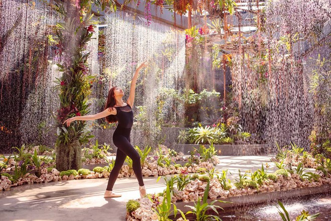 Sau Jewel Changi, Singapore lại có thêm “kỳ quan” vườn hoa treo khổng lồ khiến dân tình phải ngước lên “mỏi cả cổ” để ngắm nhìn - Ảnh 11.