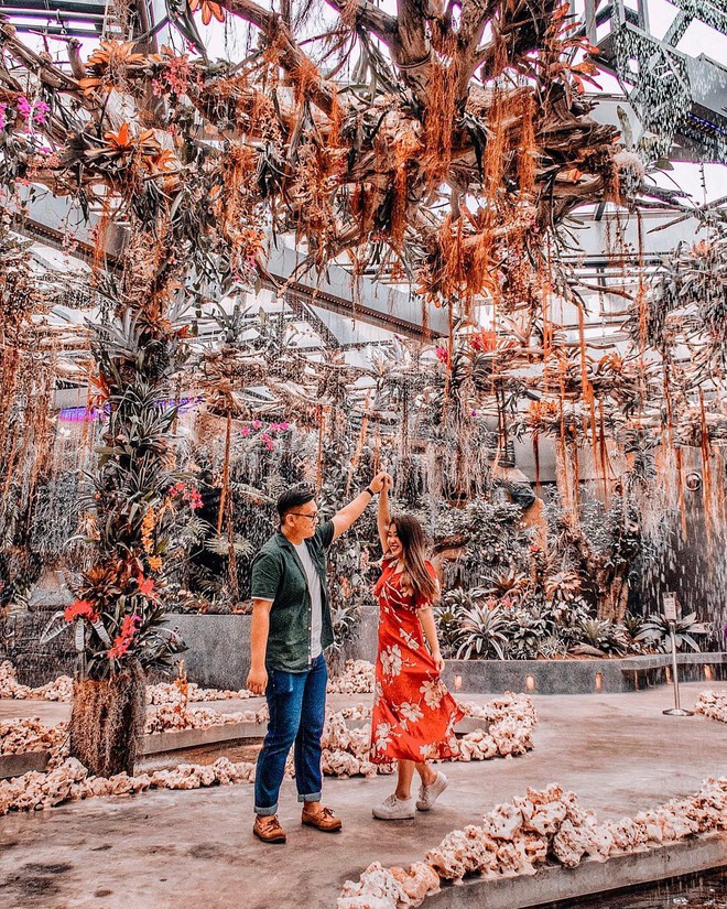 Sau Jewel Changi, Singapore lại có thêm “kỳ quan” vườn hoa treo khổng lồ khiến dân tình phải ngước lên “mỏi cả cổ” để ngắm nhìn - Ảnh 16.