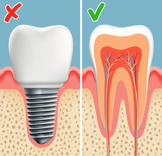 Không phải trồng răng giả nữa: Khoa học đã tìm ra cách giúp bạn mọc lại răng mới chỉ sau 2 tháng - Ảnh 4.