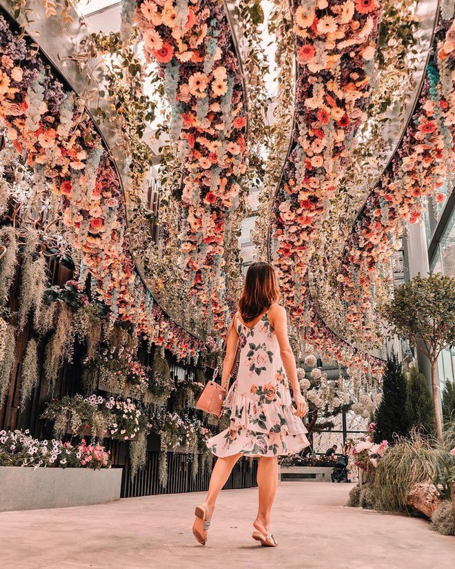 Sau Jewel Changi, Singapore lại có thêm “kỳ quan” vườn hoa treo khổng lồ khiến dân tình phải ngước lên “mỏi cả cổ” để ngắm nhìn - Ảnh 5.