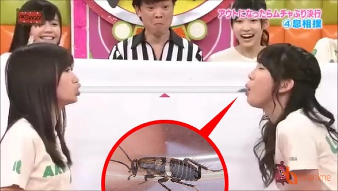 Có hẳn một show truyền hình Nhật cho các cô gái ăn gián, bọ cạp... trong nước mắt - Ảnh 2.