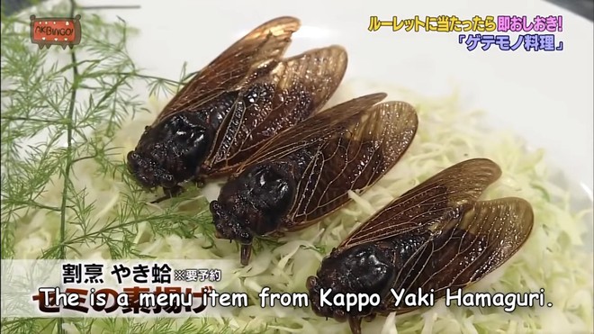 Có hẳn một show truyền hình Nhật cho các cô gái ăn gián, bọ cạp... trong nước mắt - Ảnh 7.