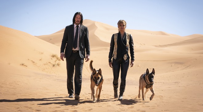 JOHN WICK 3 - Hổ lạc đồng bằng không sợ chó! - Ảnh 2.