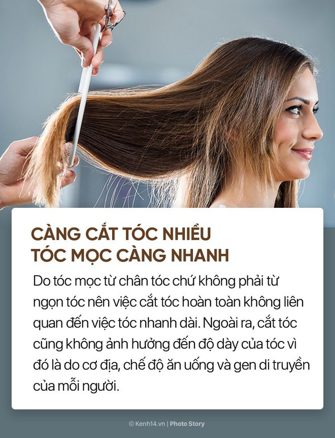 8 hiểu lầm to tướng về chăm sóc tóc mà hội chị, em vẫn truyền tai nhau - Ảnh 5.