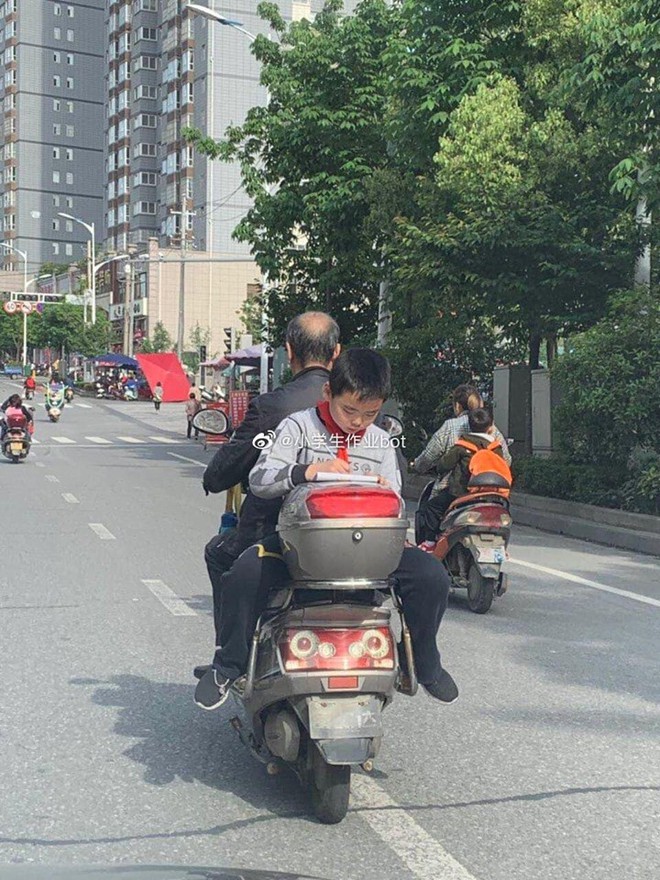 X&oacute;t xa bức ảnh cậu b&eacute; l&agrave;m b&agrave;i tập sau xe của bố: Học sinh thời n&agrave;y học ng&agrave;y học đ&ecirc;m chưa đủ, ra đường vẫn phải học! - Ảnh 1.