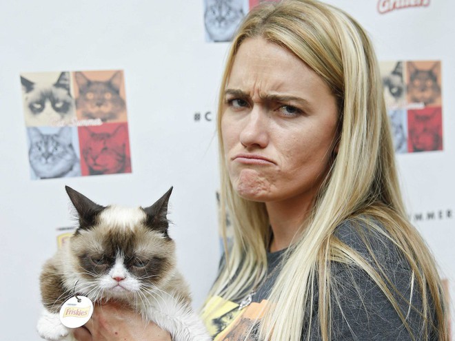 Grumpy Cat - cô mèo cáu kỉnh nhất thế giới với hơn 8 triệu người theo dõi đã qua đời - Ảnh 6.