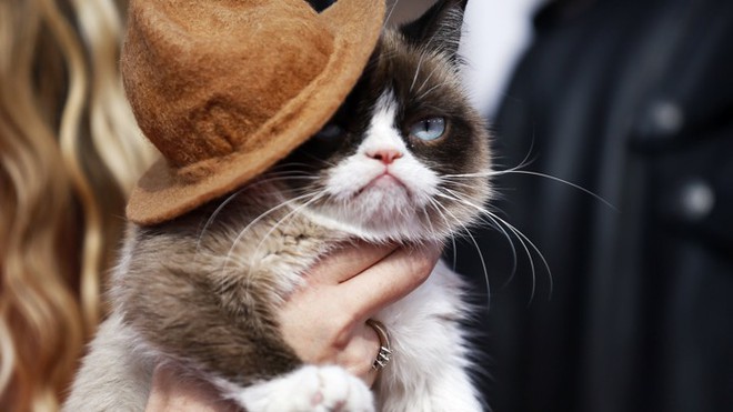 Grumpy Cat - cô mèo cáu kỉnh nhất thế giới với hơn 8 triệu người theo dõi đã qua đời - Ảnh 4.