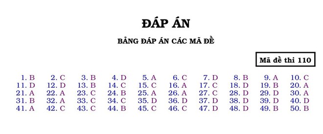 Đáp án đề thi thử THPT quốc gia 2019 môn Toán THPT Lương Thế Vinh - Hà Nội - Ảnh 7.