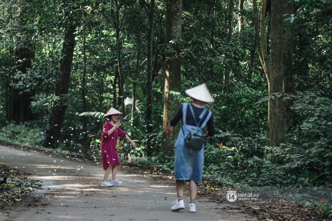 Chuyến đi Cúc Phương những ngày cuối mùa bướm rừng: Chốn thần tiên có vẻ đẹp riêng của sự muộn màng - Ảnh 5.