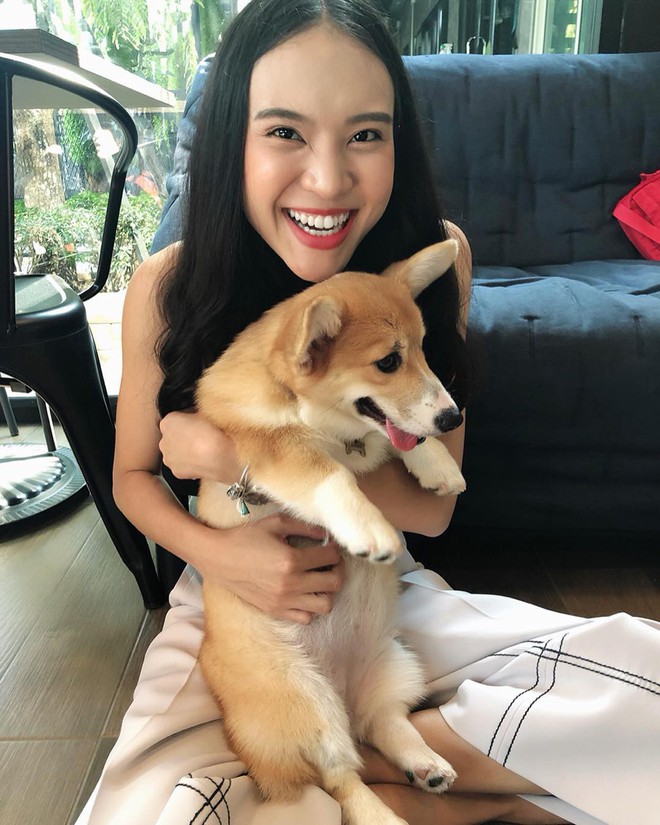 Siêu cấp dễ thương: Quán cà phê chó corgi nổi tiếng nhất Bangkok khiến dân tình phát sốt, con nào con nấy cũng ú nu ú nần - Ảnh 8.