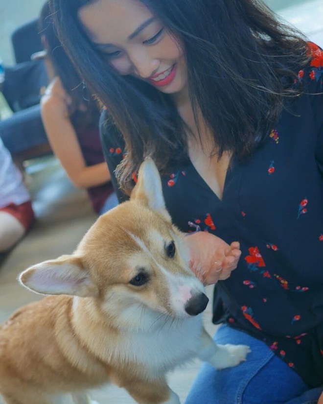 Siêu cấp dễ thương: Quán cà phê chó corgi nổi tiếng nhất Bangkok khiến dân tình phát sốt, con nào con nấy cũng ú nu ú nần - Ảnh 18.