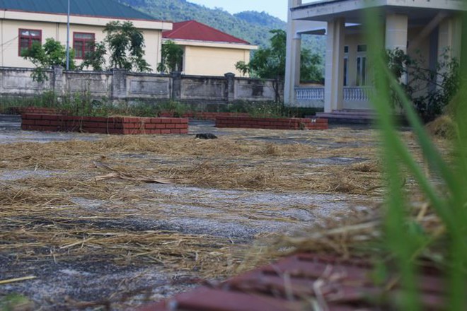 Trường hơn 16 tỷ bỏ hoang người dân tận dụng phơi rơm nuôi gà - Ảnh 12.