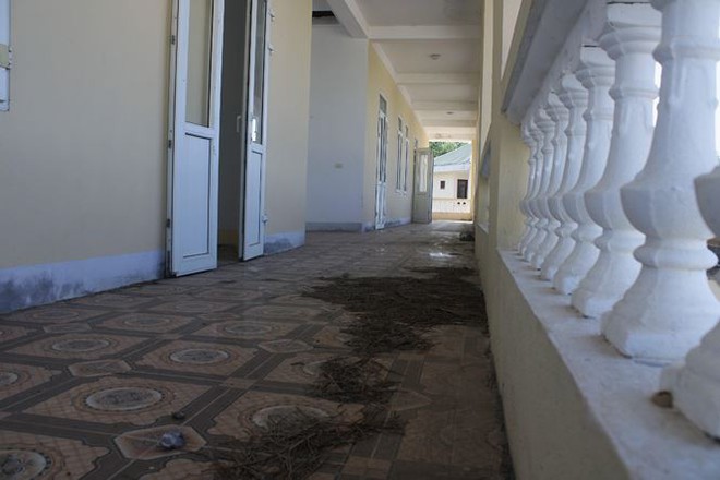 Trường hơn 16 tỷ bỏ hoang người d&acirc;n tận dụng phơi rơm nu&ocirc;i g&agrave; - Ảnh 10.