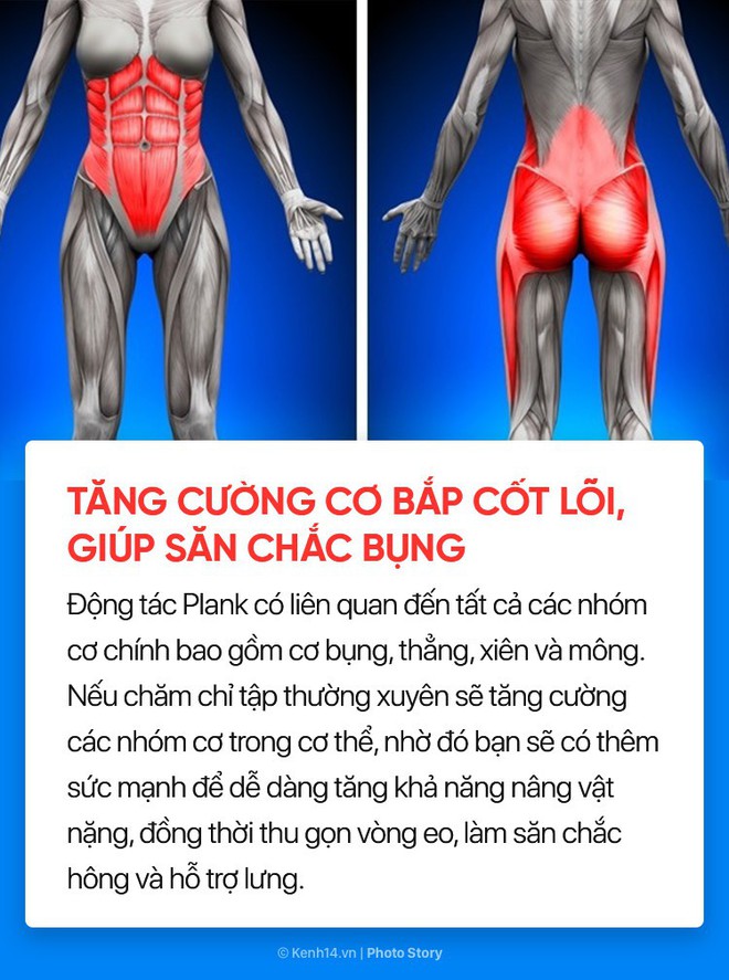 Không chỉ giúp săn chắc cơ bụng, đẩy bay mỡ thừa mà plank còn nhiều lợi ích tuyệt vời khác với cơ thể chúng ta - Ảnh 5.