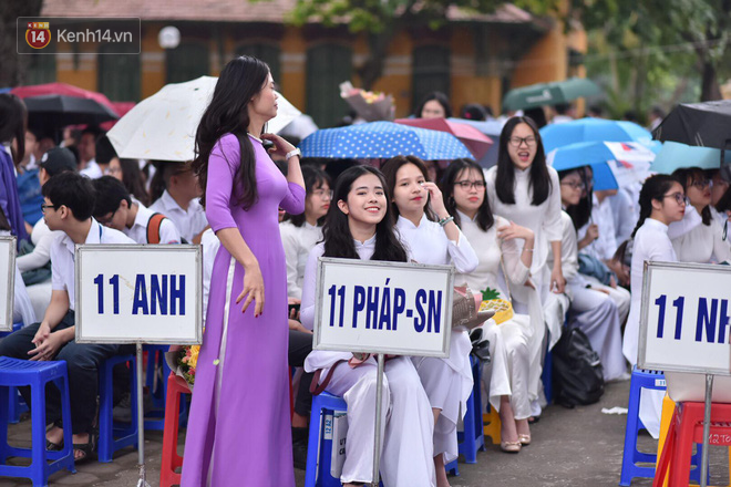 undefined - Ảnh 4.