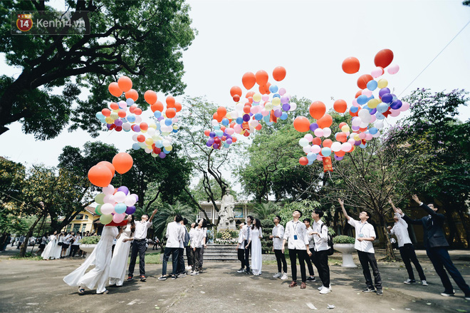 undefined - Ảnh 1.