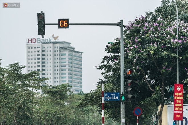 Chùm ảnh: Hà Nội và bản tình ca của những loài hoa mùa hạ thay nhau khoe sắc trên phố - Ảnh 13.