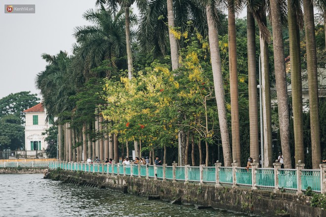 Chùm ảnh: Hà Nội và bản tình ca của những loài hoa mùa hạ thay nhau khoe sắc trên phố - Ảnh 20.