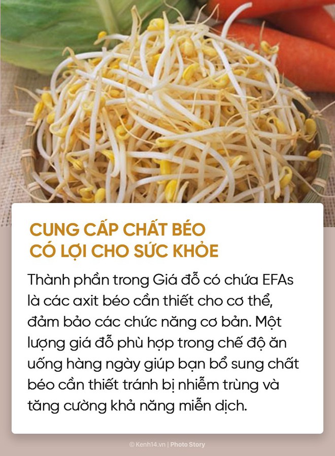 Dù không thích thì cũng nên thử ăn giá đỗ vì nó có quá nhiều lợi ích với cơ thể - Ảnh 13.