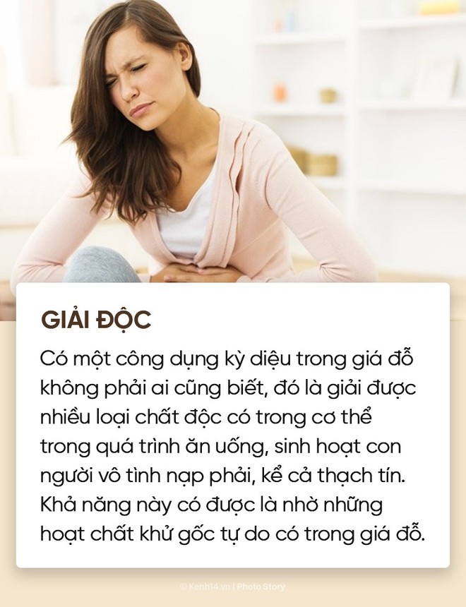 Dù không thích thì cũng nên thử ăn giá đỗ vì nó có quá nhiều lợi ích với cơ thể - Ảnh 11.