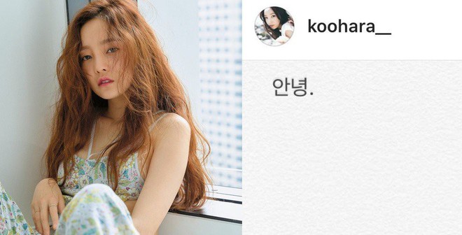 Sốc: Nữ idol đình đám Goo Hara cố tự tử tại nhà riêng vào sáng nay, để lại lời nhắn Tạm biệt fan trên Instagram - Ảnh 1.