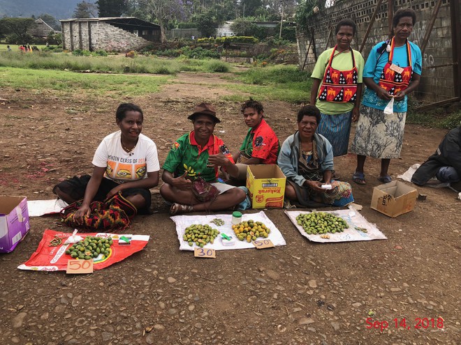 “Thi&#234;n biến vạn ho&#225;” với Goroka Show – Lễ hội thổ d&#226;n của đất nước b&#237; hiểm nhất thế giới Papua New Guinea - Ảnh 5.