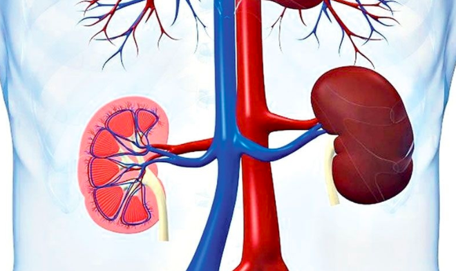 C&ocirc; g&aacute;i 22 tuổi bị suy thận v&igrave; th&oacute;i quen sinh hoạt, ăn uống m&agrave; nhiều người trẻ vẫn đang mắc phải - Ảnh 2.