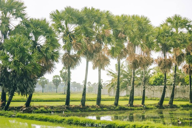 Ai bảo An Giang kh&ocirc;ng c&oacute; g&igrave; chơi th&igrave; học ngay b&iacute; k&iacute;p du lịch của hội bạn n&agrave;y nh&eacute;, đảm bảo chuẩn kh&ocirc;ng cần chỉnh - Ảnh 9.