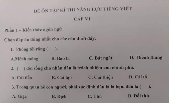 Xuất hiện đề thi Tiếng Việt dành cho người Nhật khiến dân mạng ngỡ ngàng về độ khó và dễ nhầm lần - Ảnh 1.