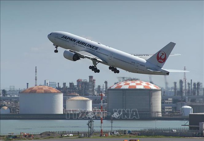 Hãng hàng không Nhật Bản hủy 32 chuyến bay do sự cố hệ thống check-in - Ảnh 1.