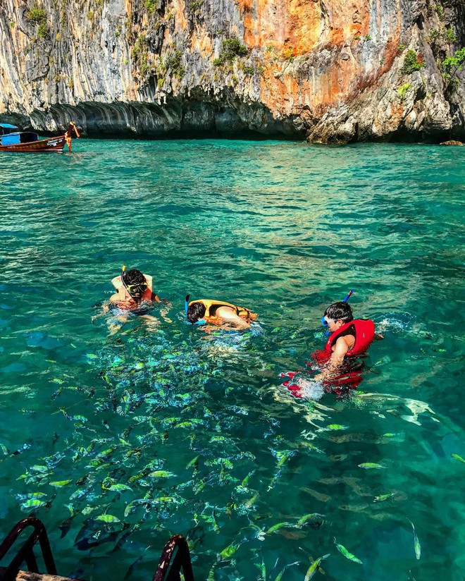 Vịnh biển nổi tiếng tại đảo Koh Phi Phi - Thái Lan cấm khách trong 2 năm tới để phục hồi hệ sinh thái - Ảnh 4.