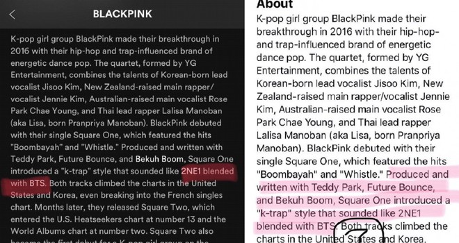 Nhìn lại lịch sử 13 năm tâng bốc “gà” nhà của YG từ BIG BANG đến BLACKPINK để thấy danh hiệu “thánh media-play” không phải đùa (Phần 1) - Ảnh 16.