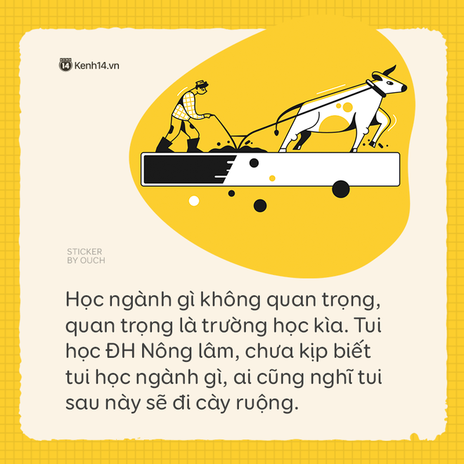 1001 kiểu hiểu nhầm khó chấp nhận về các ngành học: Học Nông Lâm sẽ đi cày ruộng, IT auto biết sửa máy tính! - Ảnh 1.