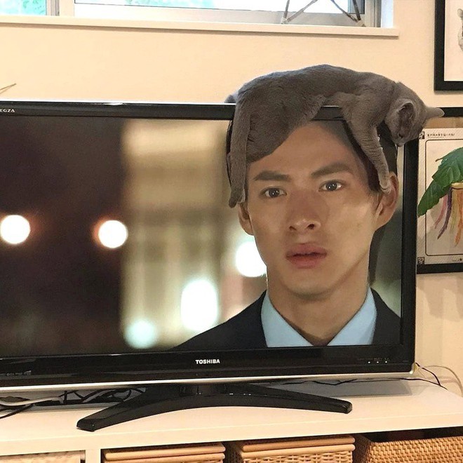 Những bức ảnh ghi lại khoảnh khắc đắt gi&aacute; bậc nhất m&agrave; kh&ocirc;ng hề c&oacute; sự can thiệp của Photoshop đủ sức khiến bạn kinh ngạc - Ảnh 2.