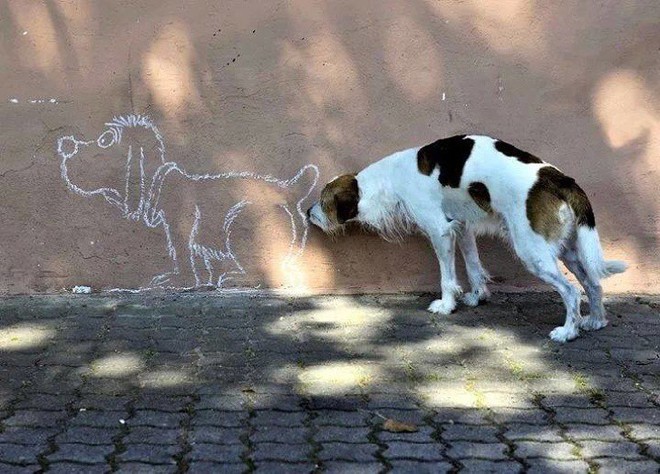 Những bức ảnh ghi lại khoảnh khắc đắt gi&aacute; bậc nhất m&agrave; kh&ocirc;ng hề c&oacute; sự can thiệp của Photoshop đủ sức khiến bạn kinh ngạc - Ảnh 16.