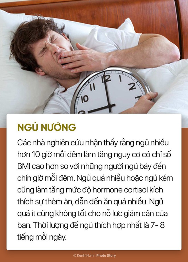 Truy t&igrave;m thủ phạm g&acirc;y b&eacute;o bụng, tăng c&acirc;n mỗi s&aacute;ng - Ảnh 3.