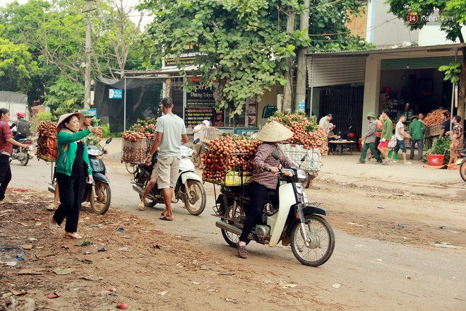 Sản lượng vải thiều Bắc Giang thấp do thời tiết, nhưng vẫn có mức giá cao gấp 10 lần năm ngoái - Ảnh 7.