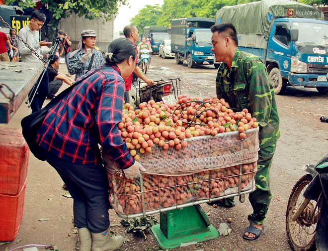 Sản lượng vải thiều Bắc Giang thấp do thời tiết, nhưng vẫn có mức giá cao gấp 10 lần năm ngoái - Ảnh 5.