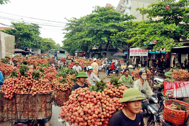 Sản lượng vải thiều Bắc Giang thấp do thời tiết, nhưng vẫn có mức giá cao gấp 10 lần năm ngoái - Ảnh 2.