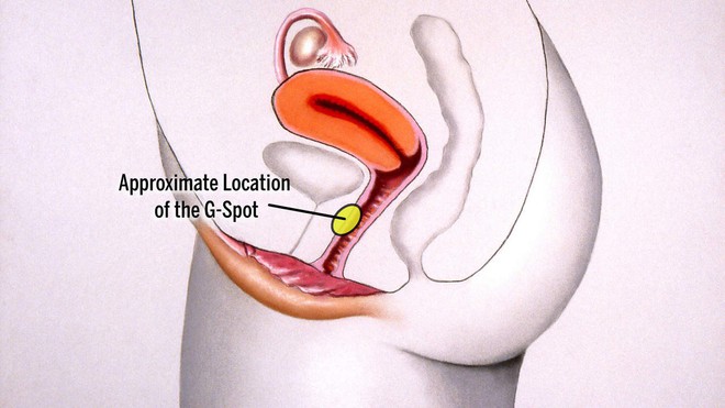 G-spot (điểm G) l&agrave; g&igrave; m&agrave; ai nghe cũng hiểu, nhưng &iacute;t ai t&igrave;m được điểm G b&iacute; ẩn của m&igrave;nh - Ảnh 3.