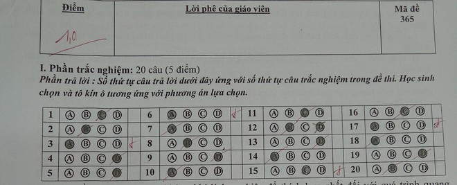 Thi trắc nghiệm đánh câu nào sai câu đó, học sinh này gặp một lỗi mà ai cũng mắc phải thời đi học - Ảnh 3.