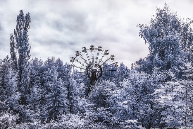 Từ vùng đất ma không ai dám bén mảng, nhà máy điện hạt nhân Chernobyl bỗng hóa xứ sở thần tiên đẹp lịm tim qua lăng kính của nhiếp ảnh gia - Ảnh 11.