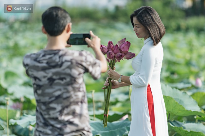 Đầm sen ở Nhật Tân có gì hot mà người dân Hà Nội ùn ùn kéo đến, lội xuống hồ chụp ảnh mỗi ngày? - Ảnh 18.