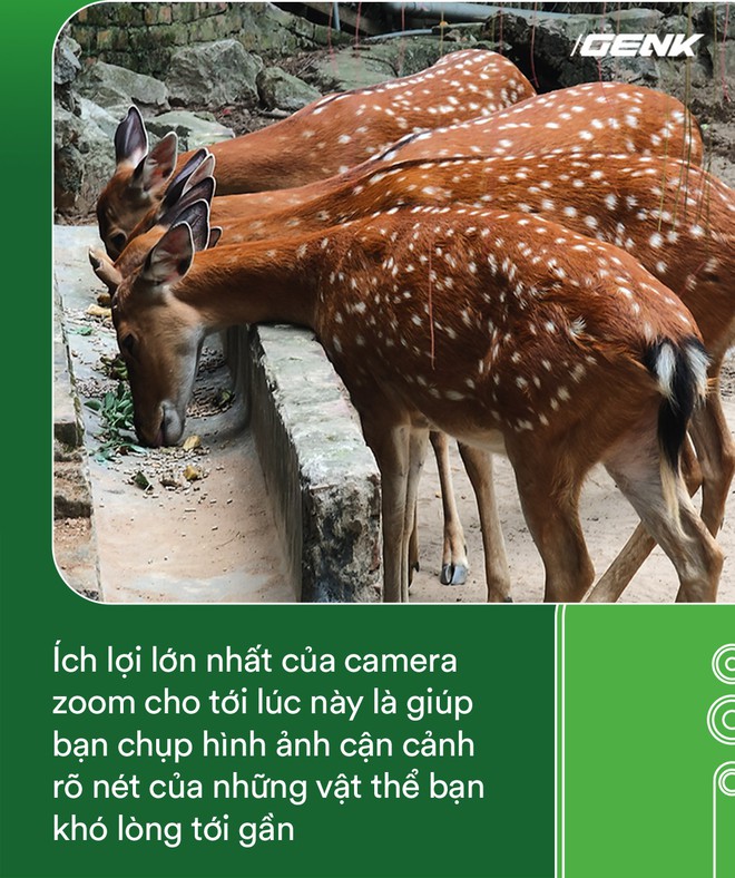 H&oacute;a ra t&aacute;c dụng th&uacute; vị nhất của camera zoom 10x l&agrave; đi chụp động vật - Ảnh 6.