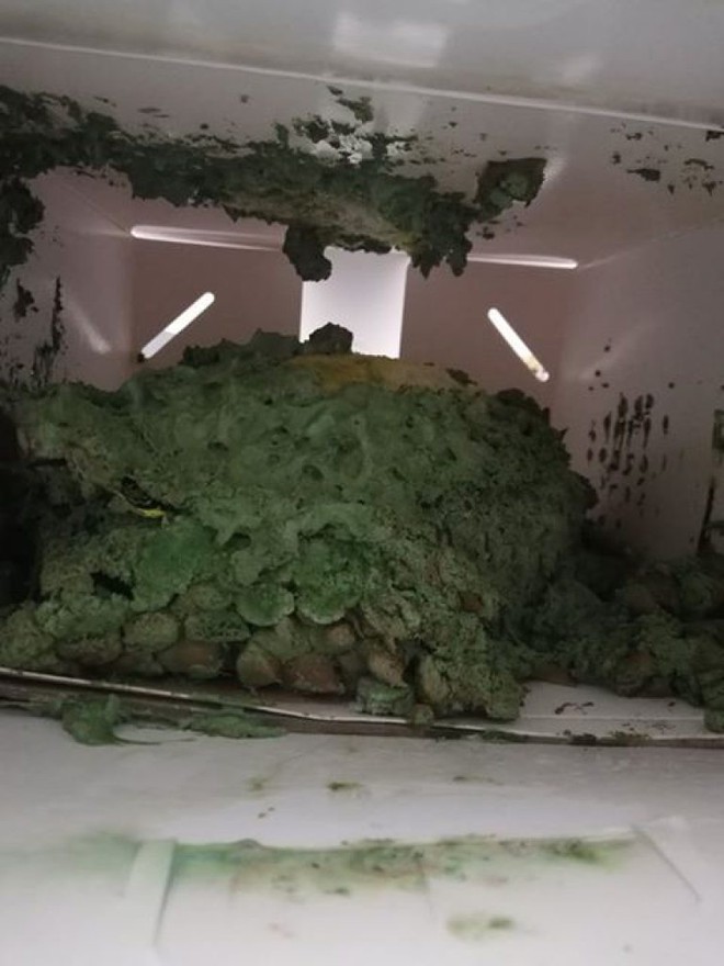 Chịu chơi đặt chiếc b&aacute;nh sầu ri&ecirc;ng gi&aacute; hơn 3 triệu đẹp m&ecirc; li tr&ecirc;n mạng, c&ocirc; n&agrave;ng m&eacute;o mặt khi nhận về một đống r&ecirc;u m&agrave;u xanh v&agrave; kết cục hời kh&ocirc;ng ai ngờ - Ảnh 3.