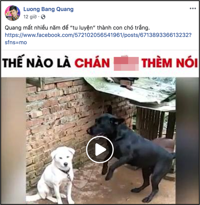 Bị tình cũ Ngân 98 tố ngoại tình tại nhà, Lương Bằng Quang liên tục có phản ứng gây tranh cãi - Ảnh 2.