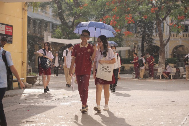 undefined - Ảnh 9.